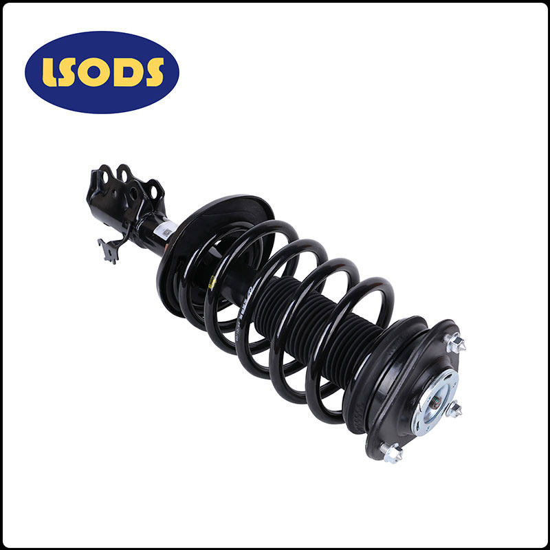 امتصاص صدمات السيارة Haev-2905100